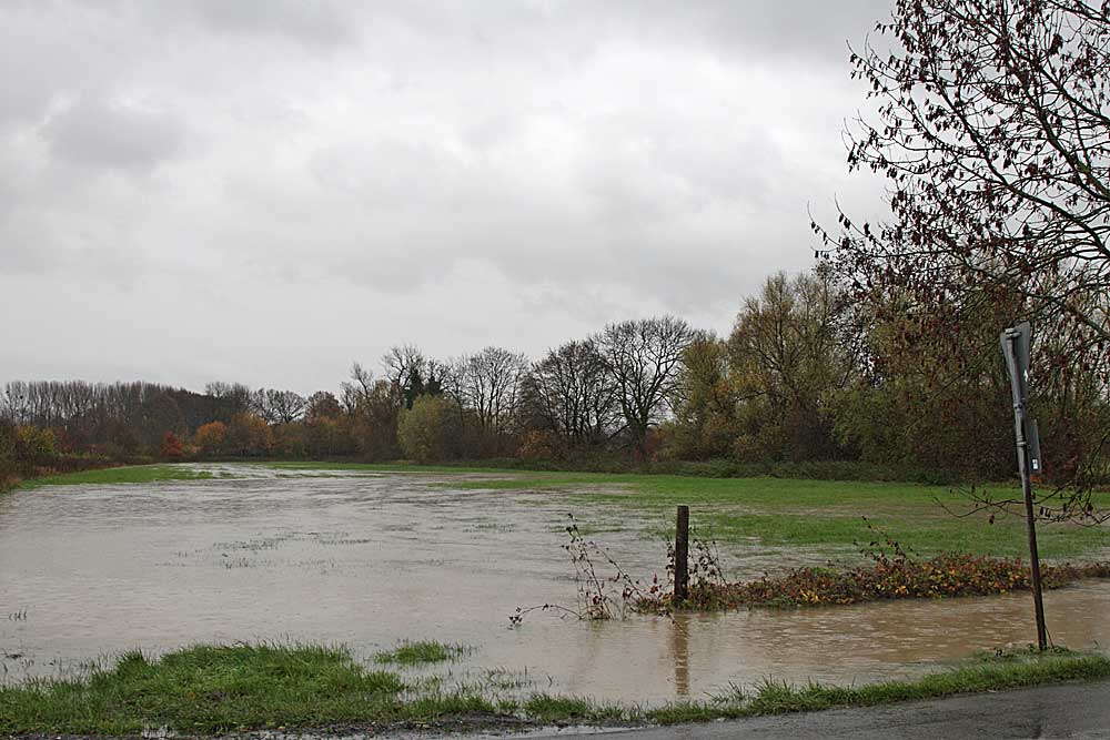 Auch die Grünlandflächen im NSG Horster Mühle / Flierich - eine Wasserlandschaft..., 13.11.10  Foto: Bernhard Glüer