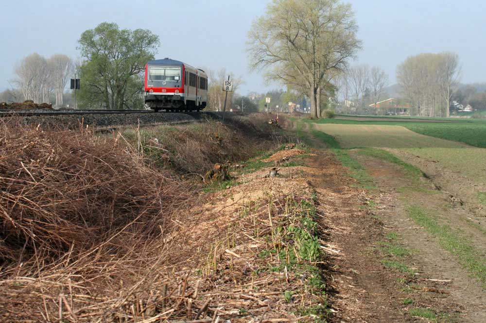 Zurückgeschnittene Vegetation an der Bahnstrecke zwischen Fröndenberg und Wickede am 09.04.2011 Foto: Gregor Zosel