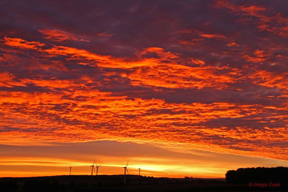 Ein `Feuerwerk´ an Farben begrüßte uns am Zählort (Hemmerder Schelk) bei Sonnenaufgang, 18.10.2014 Foto: Gregor Zosel