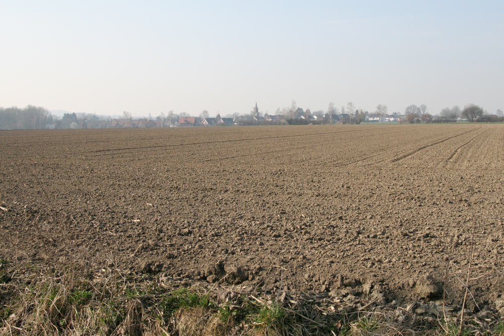 Mit 10 balzenden Kiebitzen hat sich auf diesem Feld bei Lünern ein kleiner `Hot-Spot´ gebildet, 18.03.2015 Foto: Bernhard Glüer
