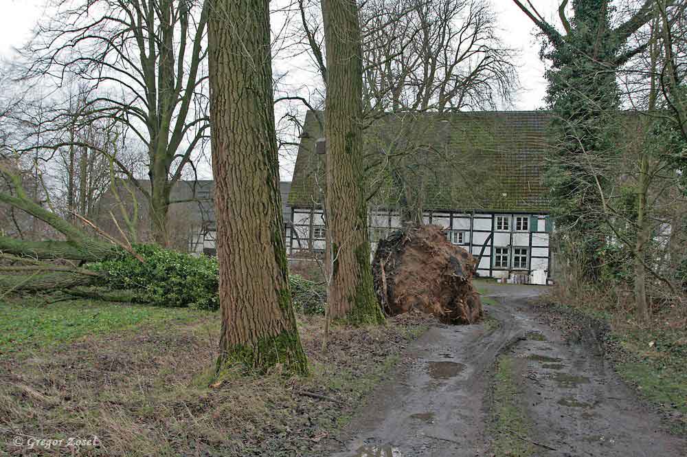 Auch im NSG Wulmke ist der letzte Sturm nicht spurlos vorübergefecht......am 27.01.18 Foto: Gregor Zosel