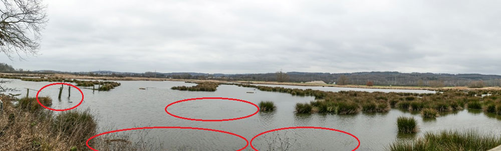 Röllingwiese Wieder überschwemmte Röllingwiese mit zurückgeschnittenen und jetzt überstauten Flatterbinsenbereichen, Schwerte 16.01.2019 Foto: Hans Joachim Göbel
