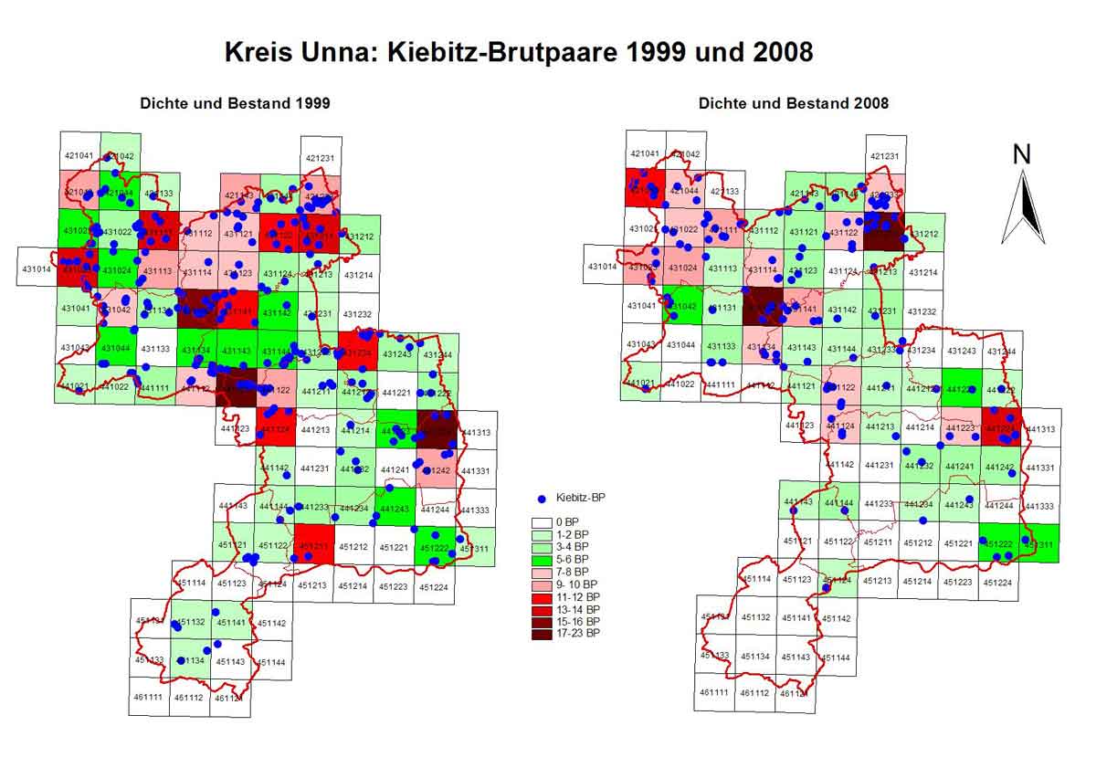 Dichte und Bestand des Kiebitzes im Kreis Unna 1999 und 2008